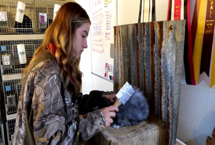 Rabbits are a passion for 4-H exhibitor